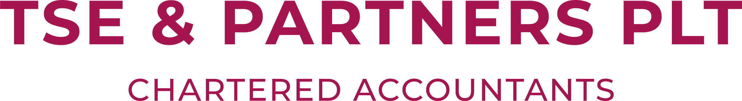 TSE & Partners PLT Chartered Accountants