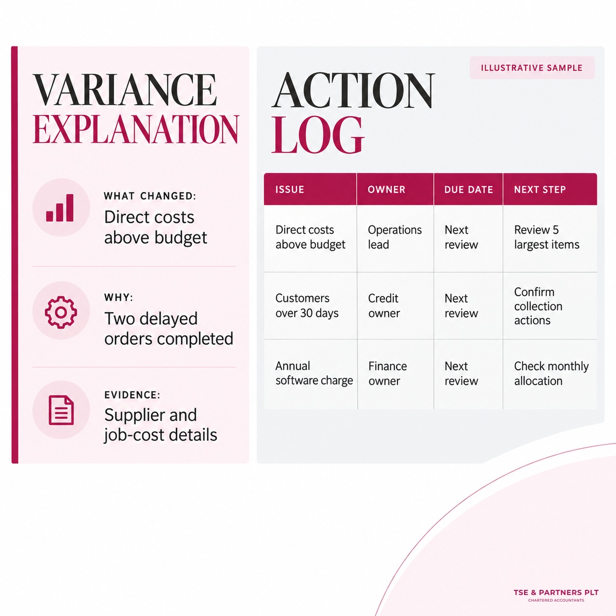 Management account sample variance explanation and action log.